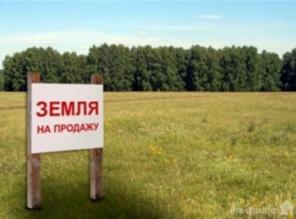Земельный участк 600 соток на берегу реки Кама.