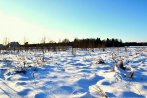 Участок ИЖС Елагино 15 соток