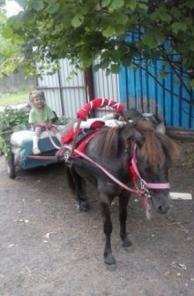 катаю на пони