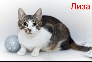 Знакомьтесь, Лиза и её дочка Сэм)