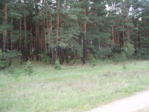 Огромный выбор учстков в Воронеже и Воронежской области