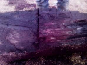 Мореный дуб (сухой)