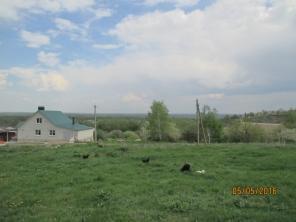 Продажа участка (ИЖС) 50 соток, 10 км от Воронежа