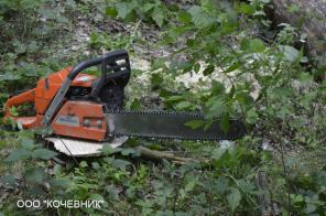 Удаление деревьев, вырубка сухостоя и аварийных деревьев