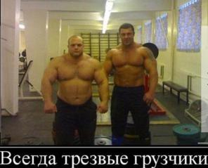 Услуги профессиональных грузчиков, грузовое такси.