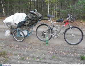 Продам новый Велоприцеп Пчелка - 2