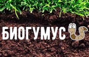 Продается органическое удобрение Биогумус. Цена 6р литр