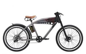   - cruiser bicycle