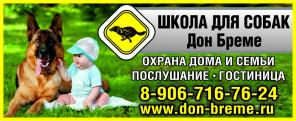 Дрессировка собак, гостиница для собак