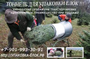Тоннель для упаковки ёлок
