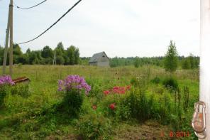 Сдам или продам 20ГА земли КФХ в 250 км от Москвы