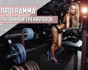 Персональные фитнес-программы питания и тренировок