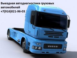 Диагностика Ман с выездом.
