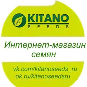 Семена КИТАНО СИДЗ в интернет-магазине