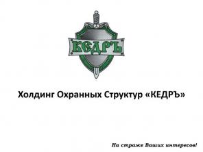 Холдинг охранных услуг