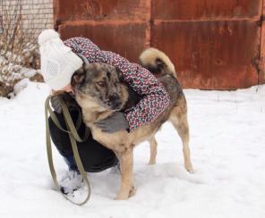 Боб