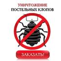 Уничтожение постельных клопов