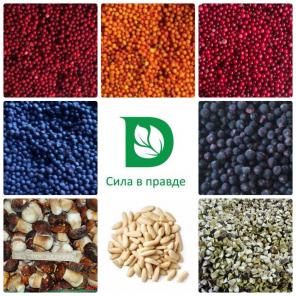Компания "Дикороспром" Заготовитель и оптовый поставщик дикорастущих ягод, грибов, иван-чая, орехов, и меда. Цены указаны без НДС. Самовывоз из г. Москва/г. Вологда/г. Санкт-Петербург | 8-800-775-07-37 | www.Dikorosprom.ru