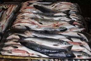 Рыба и морепродукты оптом в кратчайшие сроки!