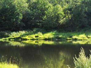 Продаю участок в пос. ИЖС В Рузском Районе