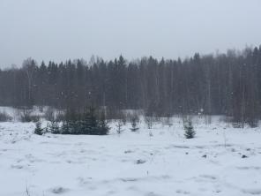 Продаю участок в пос. Встреча Друзей
