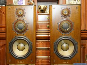 Акустические системы DIATONE DS-1000ZX HI-END!