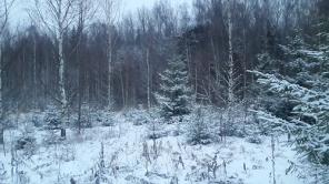 Продам участок 14 соток в клубном посёлке «Третьяково»