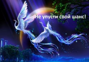 Услуги мага с гарантией в Саках. Оплата возможна по результату.