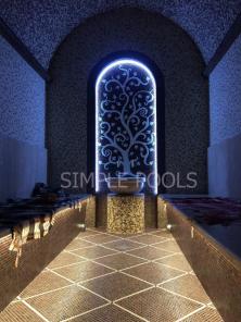 Cтpoитeльcтвo бacceйнoв и SPA пoмeщeний