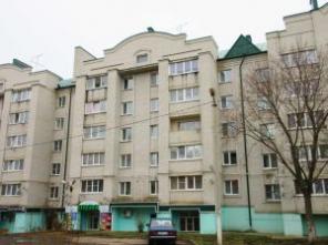 Большая однокомнатная квартира улучшенной планировки в г. Чаплыгин Липецкой области