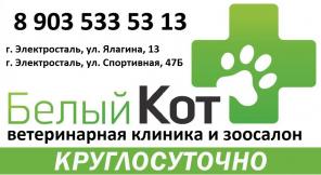 Ветеринарная клиника "Белый Кот"