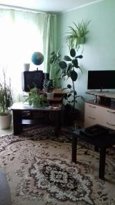 Продам 1-к квартиру в кирпичном доме