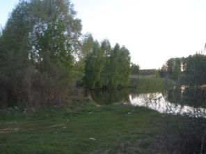 Продаю 13 соток в Ступинском районе