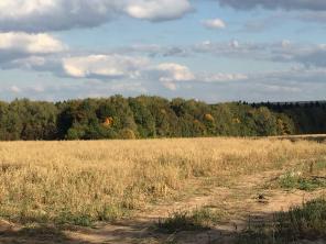 Продаю участок 7 соток в Сергиево-Посадском районе