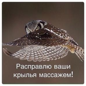 Массаж на дому в г.Химки