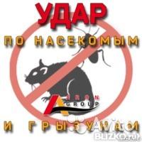 Дезинсекция, дератизация