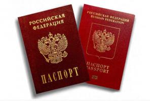 Консультации по получению гражданства, рвп, внж