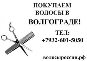 Дорого покупаем волосы в Волгограде!