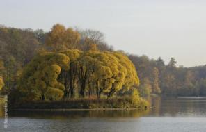 Продам дом-дачу Ленинградское ш. 50 км от МКАД