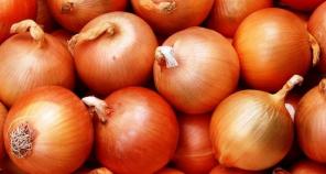 Продам лук репчатый оптом.