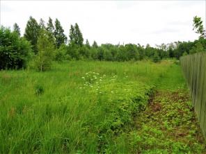 Продается участок 20 соток в Завидово. Газ, вода, электричество.