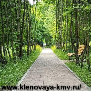 Продажа квартир в ЖК "Кленовая роща"