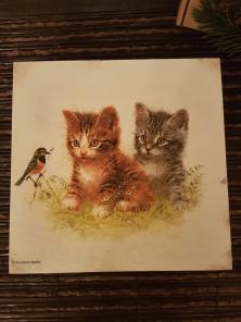 Коробочка "Котята"