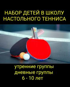 Настольный теннис