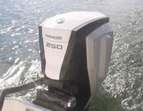   Evinrude 250HP G2