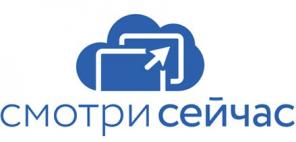 Удаленное видеонаблюдение за 5 минут