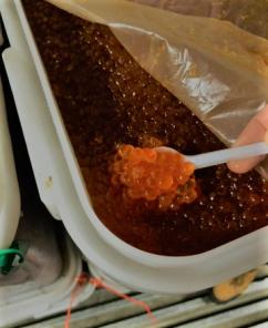 Горбуша в любом количестве по низкой цене