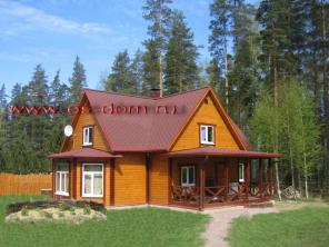 Строительство загородных домов в Спб и Ленобласти
