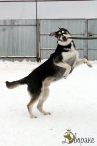 Очкарик