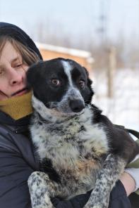 Бусечка ищет дом и надежные руки